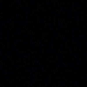 Meet your Posher, Harrison